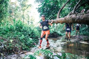 BIB: 
                            <button type="button" onclick="openModal(25436145)" class="btn btn-primary btn-sm float-right btn-popup" data-toggle="modal" data-target=".modal-high-quality">
                        <i class="fas fa-shopping-cart"></i> Add to Cart
                    </button>
                                            <button type="button" onclick="isThisMe(25436145, true)" class="btn btn-success btn-sm float-right btn-popup btn-isme hidden" data-toggle="tooltip" data-placement="bottom" title="นี่คือรูปของคุณใช่ไหม คลิกที่นี่เพื่อเอาเข้าอัลบั้ม">
                        <i class="fas fa-plus"></i> Add to album
                    </button>
                    <button type="button" onclick="isThisMe(25436145, false)" class="btn btn-warning btn-sm float-right btn-popup btn-isnotme hidden">
                        <i class="fas fa-ban"></i> Remove from album
                    </button>